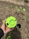 IMG_3043.webp