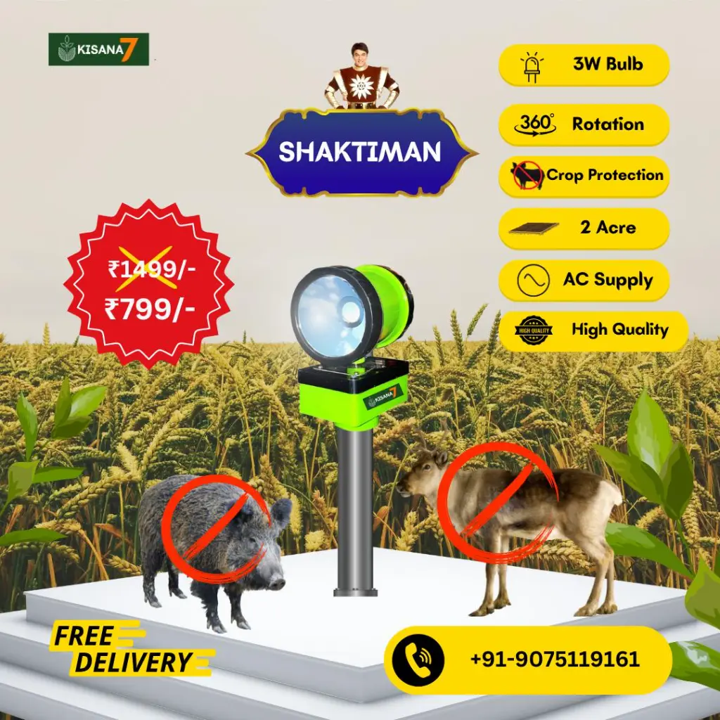 WhatsApp Image 2025-01-09 at 21.43.54 (2).webp