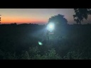 youtube - [Video]