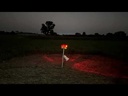 youtube - [Video]