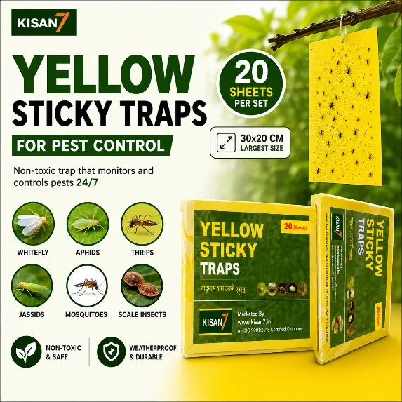 [Pack of 2]-Large Size-Yellow Sticky Traps (Pack of 20) – 30x20 CM  | Thrips, Aphids, Whitefly & Mosquito Trap for Farming (85%Cash on Delivery + 15% Advance)
