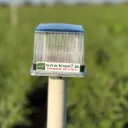Smart Solar Animal Repellent Light | 40–45Hr Backup | 4 Color LED | 500m Range | Auto Day Night Sensor | Siren System | Waterproof Body