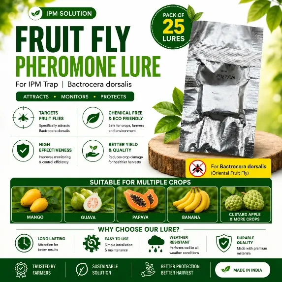 [only Lure]Fruit Fly Pheromone Lure Refill | Long-Lasting Lure for Mango, Orange, Guava & Papaya Crops
