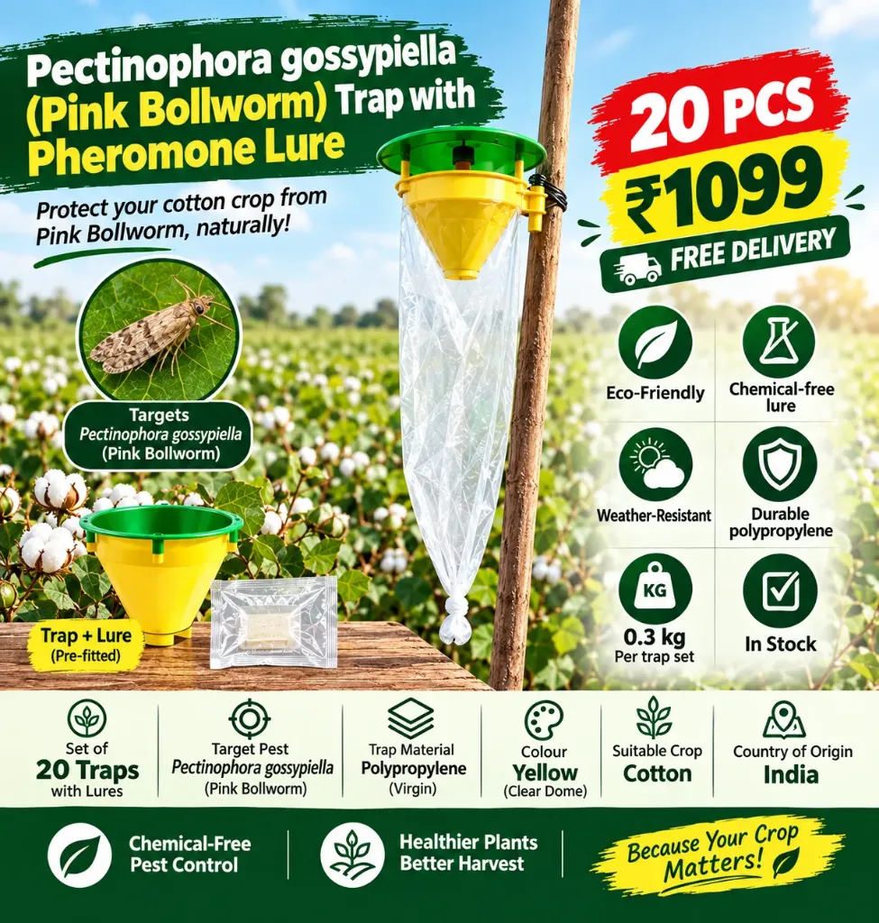 [Pack of 20] Cotton Leafworm Pheromone Lure with Funnel Trap | Pictinophora Gossypiella Pest Monitoring Trap for Cotton Crop (75% Cash On Delivery + 25% Advance)